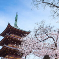 特价机票：国航/全日空直飞！北京/上海-日本东京5-7天含税往返机票（可选机酒套餐）