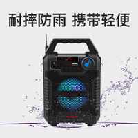 Newmine 纽曼 K55 蓝牙音箱 (黑色)