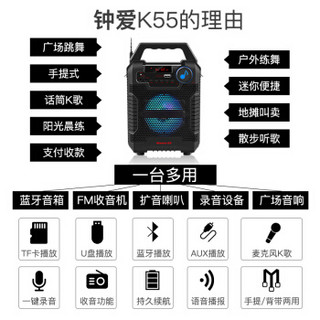 Newmine 纽曼 K55 蓝牙音箱 (黑色)