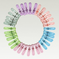 维航 塑料衣夹子 10个装