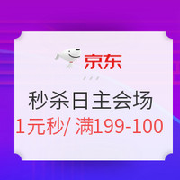 促销活动：京东 双11秒杀日 主会场