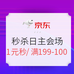 京东 双11秒杀日 主会场