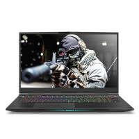 MECHREVO 机械革命 X8Ti Plus 17.3英寸游戏本（i7-8750H、8GB、128GB+1TB、GTX1060、144Hz）