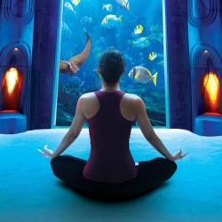 三亚亚特兰蒂斯酒店2-4晚+2大2小自助早+水族馆、水世界+泛舟喂鱼/水疗