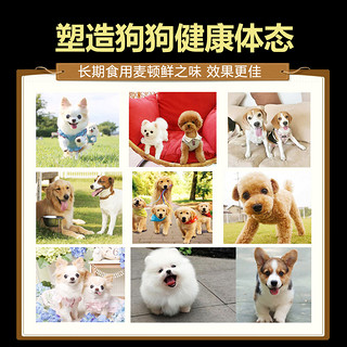 medon 麦顿 通用幼犬鸡肉味狗粮 15kg