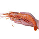 国联 野生阿根廷红虾 L1（20-40只） 2kg