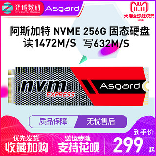 Asgard 阿斯加特 AN256G m.2 NVMe 固态硬盘 256GB