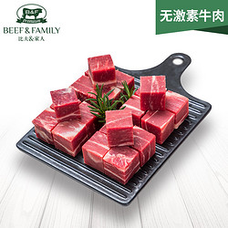 比夫家人进口牛腩肉新鲜生牛肉 精选生牛肉冷冻牛腩块500g