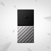 WD 西部数据 My Passport SSD 2.5英寸 移动固态硬盘 256GB TypeC