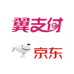 限电信用户  翼支付 X 京东  每天10点抢券