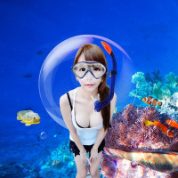 双11预售：纯玩无购物！全国多地-泰国普吉岛6天5晚跟团游（含2天出海+1天自由活动）