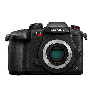 Panasonic 松下 LUMIX GH5S M4/3画幅 微单相机 黑色 100-300mm F4 II POWER OIS 变焦镜头 单头套机