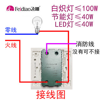 FEIDIAO 飞雕 LED声光控开关