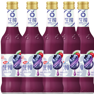  宏宝莱 蓝莓汁饮品 300ml*12