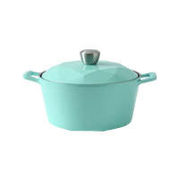 Carat 钻石汤锅 24cm 薄荷绿