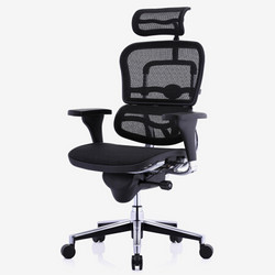 保友Ergonor电脑椅 联友人体工学椅子 金豪领先版 办公网椅