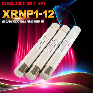 DELIXI 德力西 XRNP1-12 高分断能力高压限流熔断器 0.5-1A