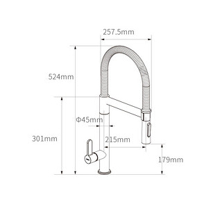 SOLUX 松霖 A041 厨房水槽龙头 (可旋转万向抽拉伸缩)