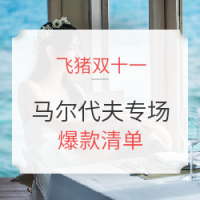 蜜月优选马尔代夫，好玩还免签