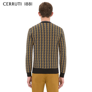 CERRUTI 1881 C3867EI101 男士羊毛V领针织衫