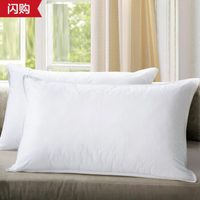 SOMERELLE 安睡宝 杜邦索瑞纳 纤维枕芯 48*74cm
