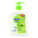 补货预告：Dettol 滴露 植物呵护 健康抑菌洗手液 500g