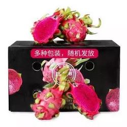 越南红心火龙果 原箱装 大果 总重约6.5kg（9-12个）单果约430-600g