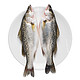 海名威 鲜冻海鲈鱼850g （2条装）袋装 海鲜水产