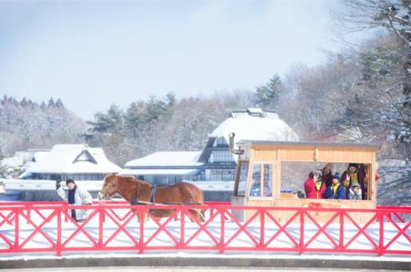 5晚星野住宿!北京/上海-日本东京+青森6天5晚自由行(全日空/东航直飞)
