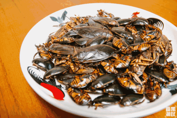 黑暗料理界——龙虱篇   