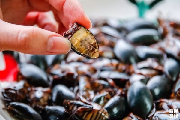 黑暗料理界——龙虱篇   