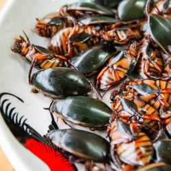 黑暗料理界——龙虱篇   