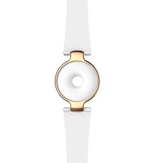 amazfit 华米 a1501 智能手环 月霜