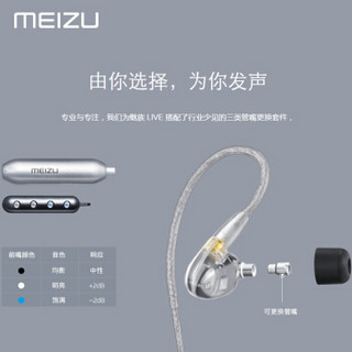 MEIZU 魅族 LIVE 耳机 (动铁、入耳式、银色)