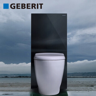 Geberit 吉博力 魔立石坐便器 普瑞迪夜空黑