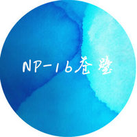 攸竹 诗色NP彩色钢笔墨水 np-16苍碧 5ml