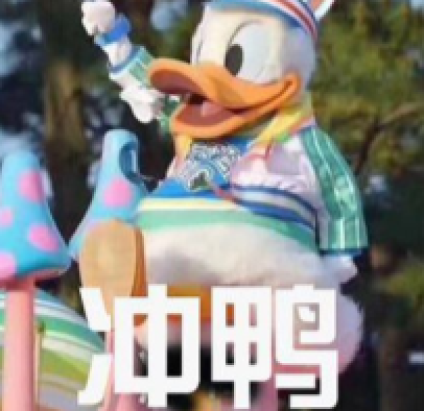 聚家亲 农家散养绿头鸭 2750g