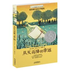 《从天而降的幸运》