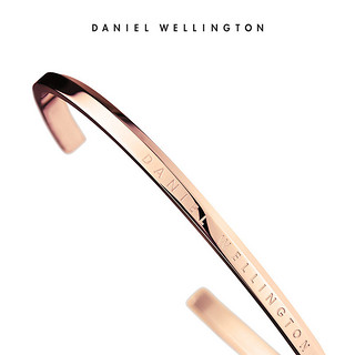 DanielWellington 丹尼尔惠灵顿 DW00400001 手表配饰手镯