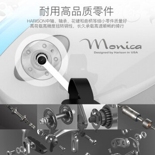 HARISON 汉臣 Monica B5 家用动感单车