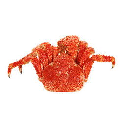 京东生鲜 熟冻智利雪蟹（整只）600g +凑单品