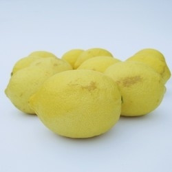 柠聚园 安岳黄柠檬 二三级果 5斤