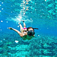 海岛游：印尼巴厘岛 蓝梦岛/佩尼达环岛一日游