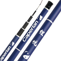 DECATHLON 迪卡侬 Caperlan 2777018 鲤悦钓鱼竿套装 3.6m