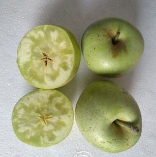 祺果 烟台印度青苹果/印冬 5斤