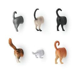 Kikkerland MG53 冰箱磁铁 6件套 猫咪款
