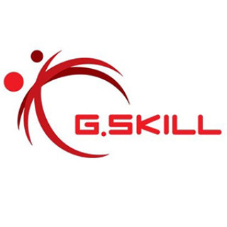 G.SKILL/芝奇