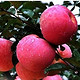 庄浪 红富士苹果 24枚装 约7斤 单果70mm