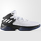  adidas 阿迪达斯 BB8439 男士篮球鞋　