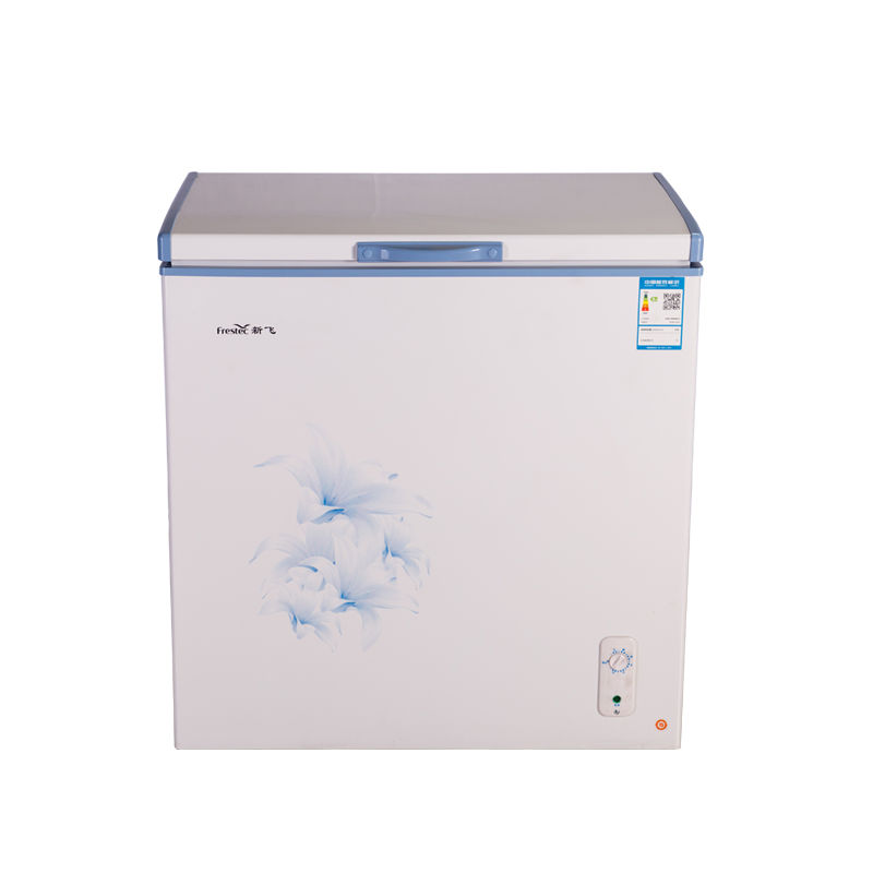 首页 家用电器 大家电 冷柜 冰柜 frestec/新飞冰柜 文章详情